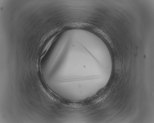 X0000081440633200702021718