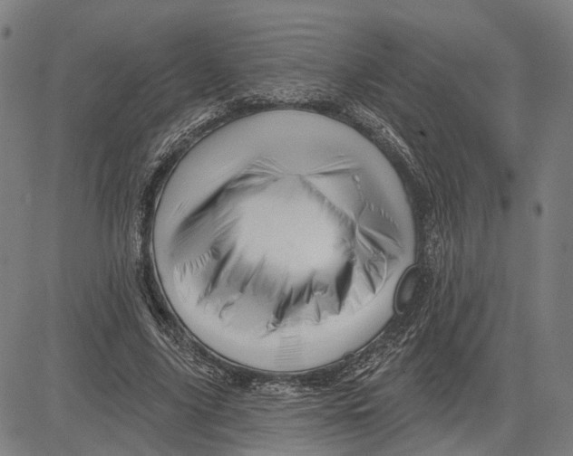 X0000081440635200702021718