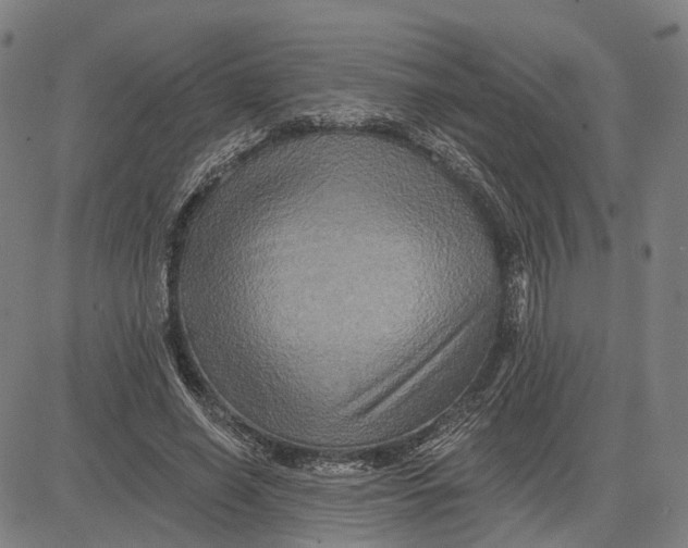 X0000081440638200702021718