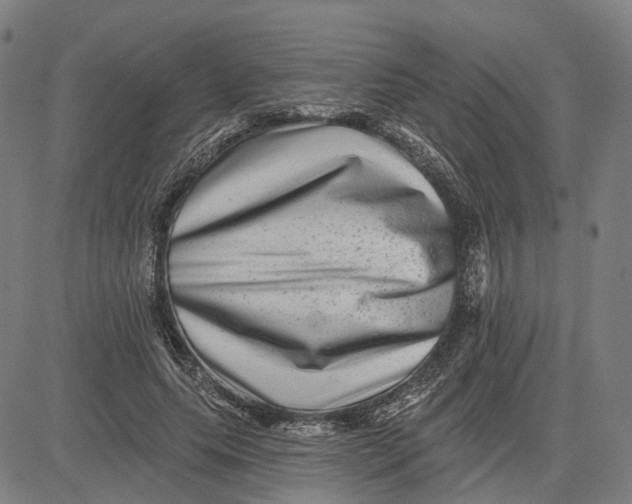 X0000081440639200702021718
