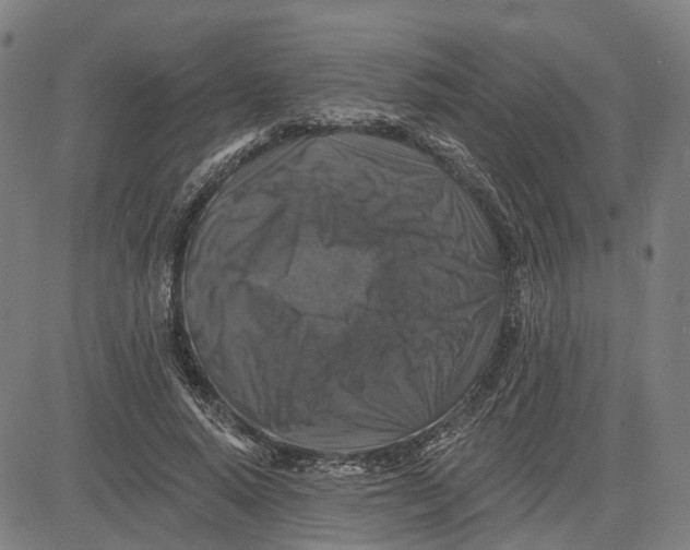 X0000081440640200702021718