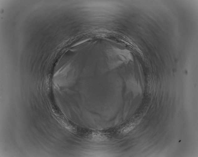 X0000081440641200702021718