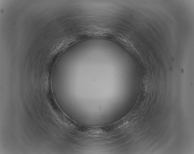 X0000081440642200702021718