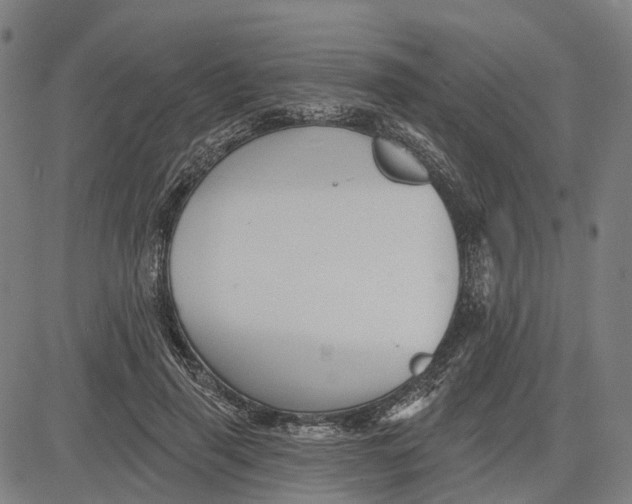 X0000081440645200702021718