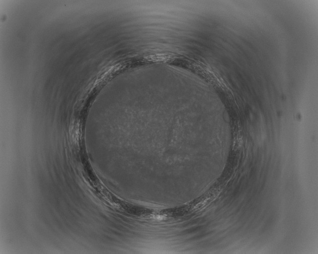 X0000081440647200702021718