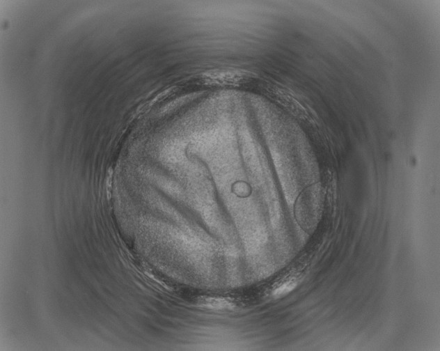 X0000081440649200702021718