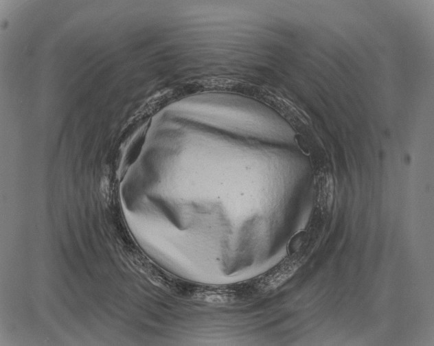 X0000081440655200702021718