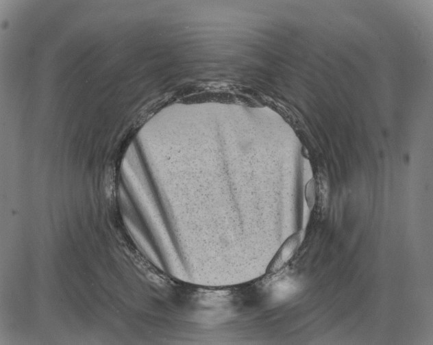 X0000081440665200702021719