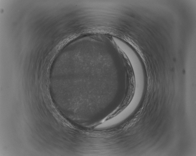 X0000081440673200702021718