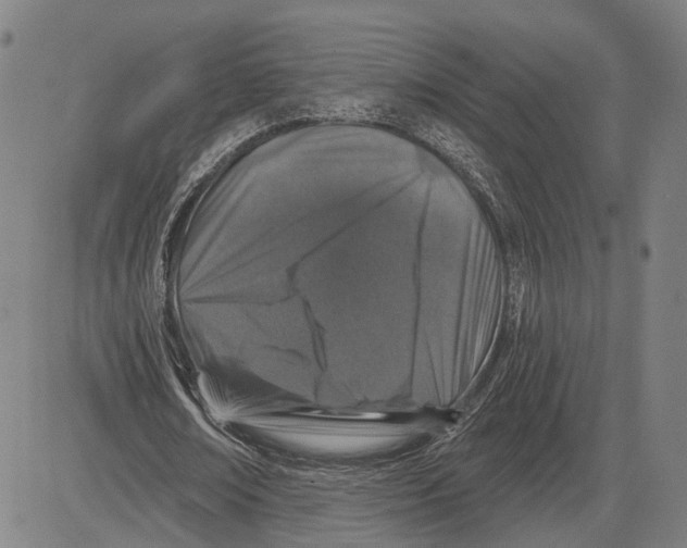 X0000081440674200702021718