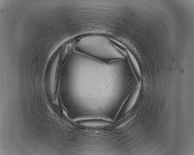 X0000081440676200702021718