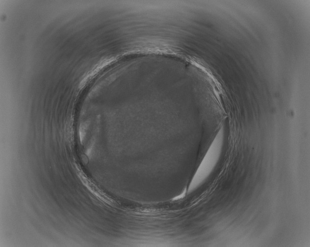 X0000081440677200702021718