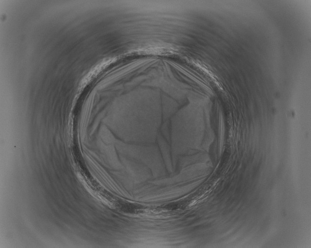 X0000081440678200702021718