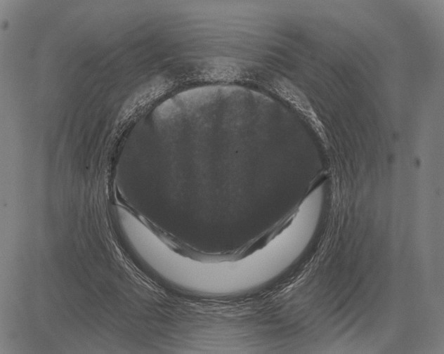 X0000081440681200702021718