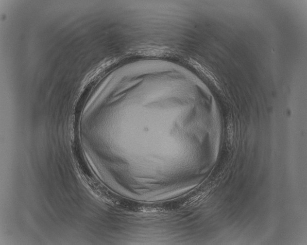 X0000081440682200702021718