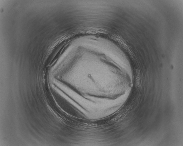 X0000081440683200702021718