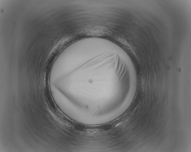 X0000081440686200702021718