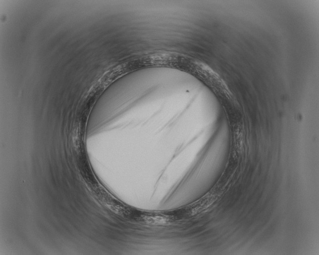 X0000081440698200702021717