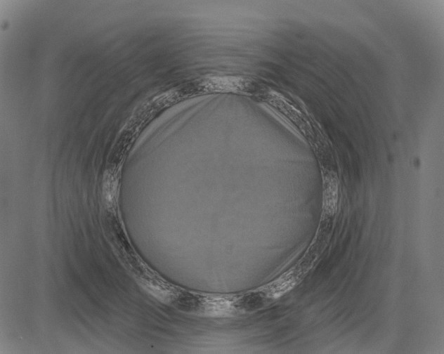 X0000081440701200702021717
