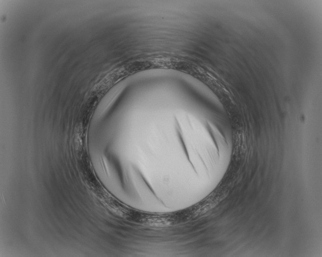 X0000081440702200702021717