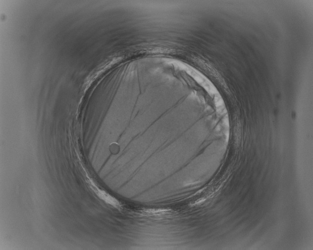 X0000081440721200702021716