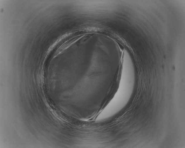 X0000081440722200702021716
