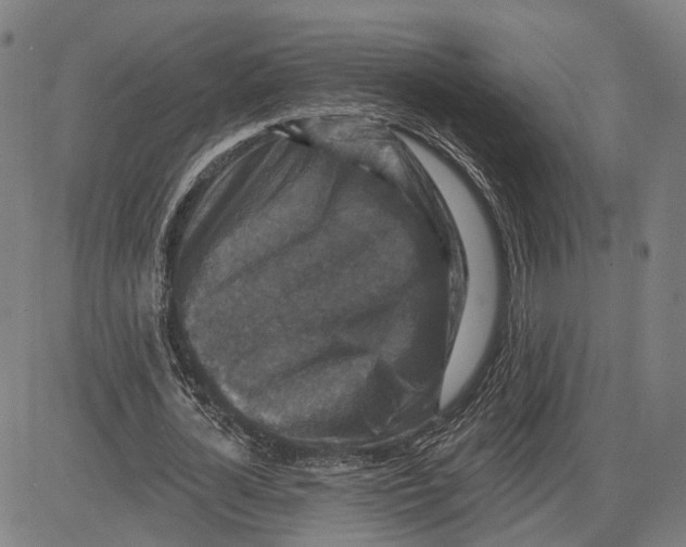 X0000081440724200702021716