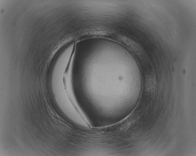 X0000081440731200702021717