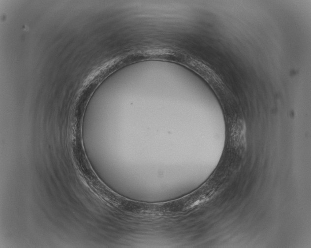 X0000081440732200702021717