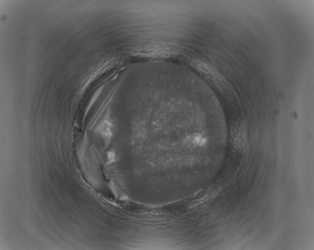 X0000081440735200702021717