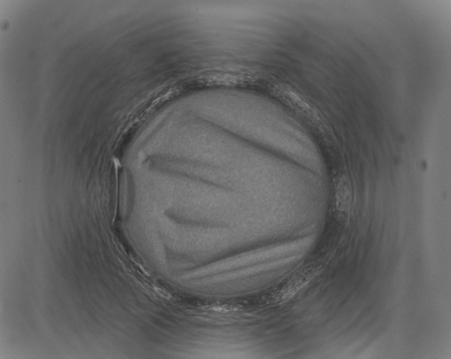 X0000081440737200702021717