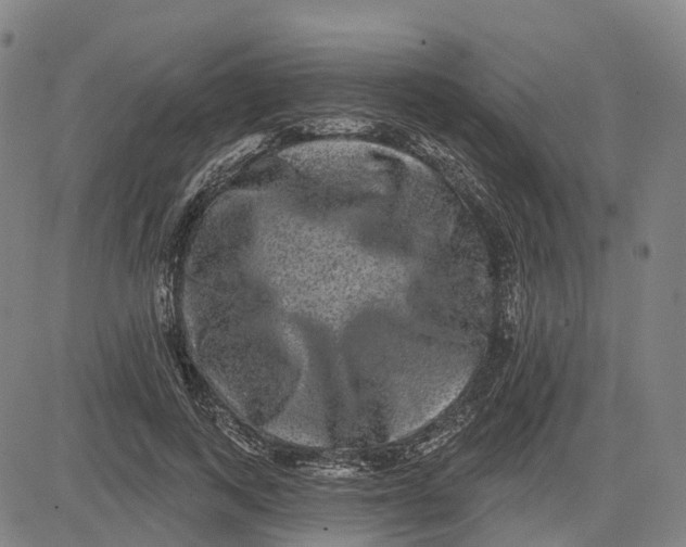 X0000081440743200702021717