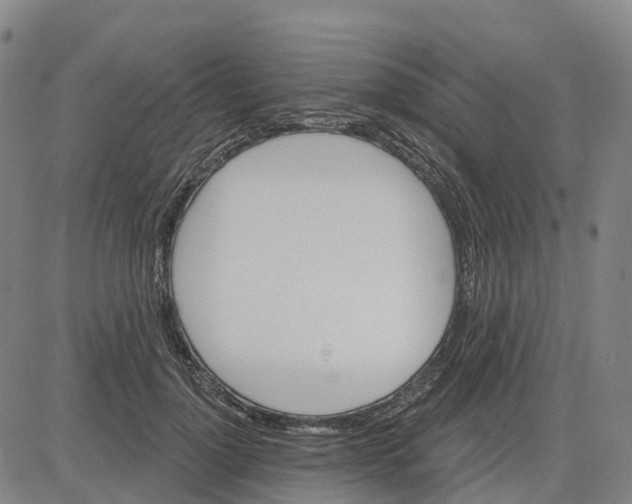 X0000081440748200702021717