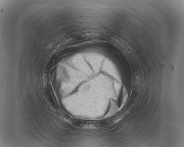 X0000081440751200702021717