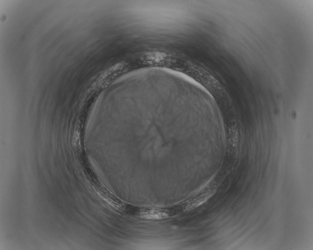X0000081440754200702021717