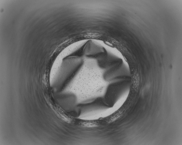 X0000081440755200702021717