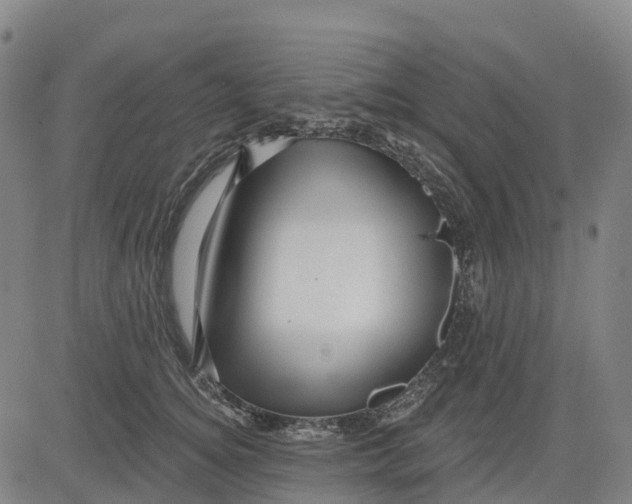 X0000081440756200702021717