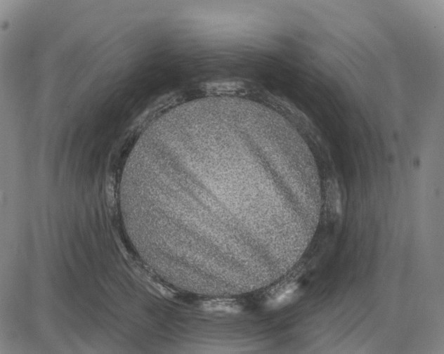 X0000081440761200702021717
