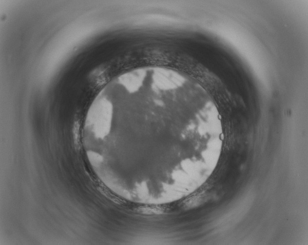X0000081440765200702021717