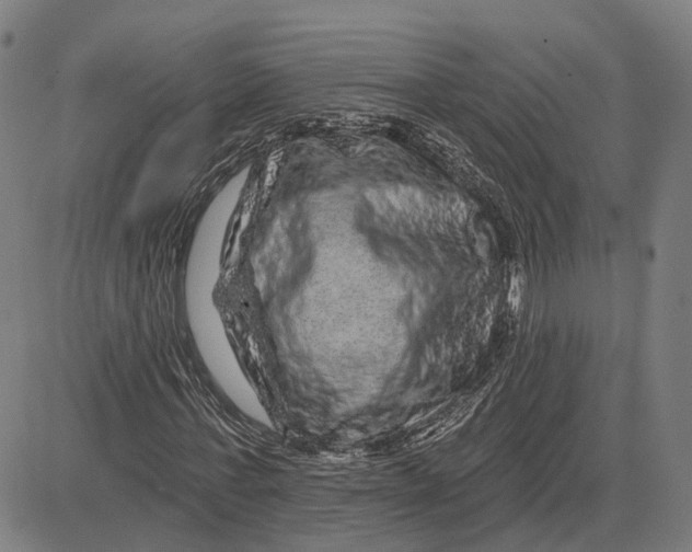 X0000081440771200702021716