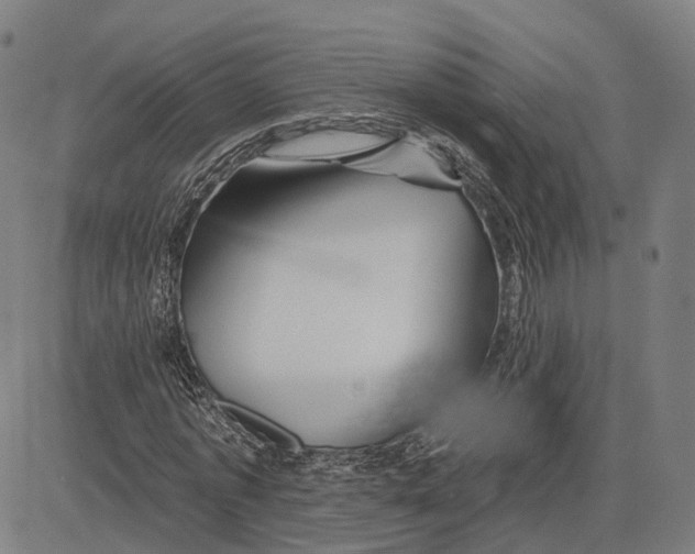 X0000081440773200702021716