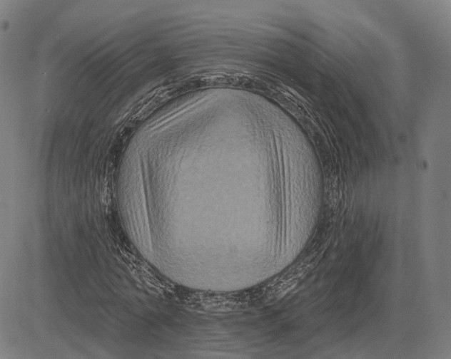 X0000081440774200702021716