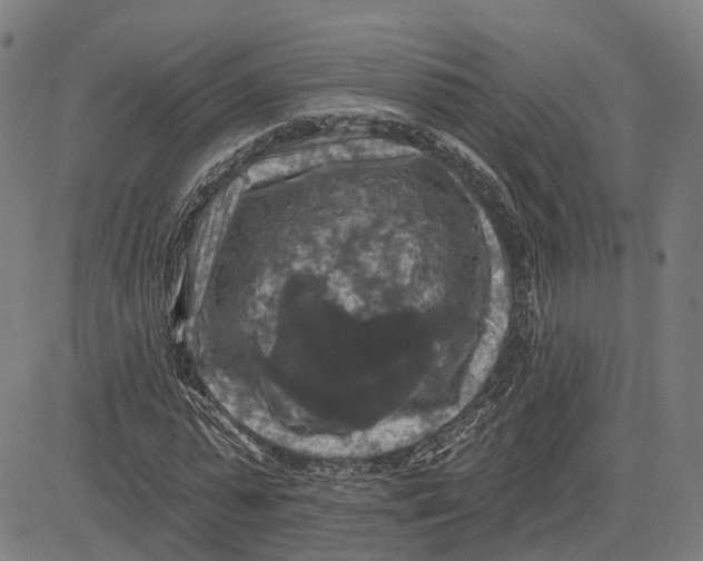 X0000081440775200702021716