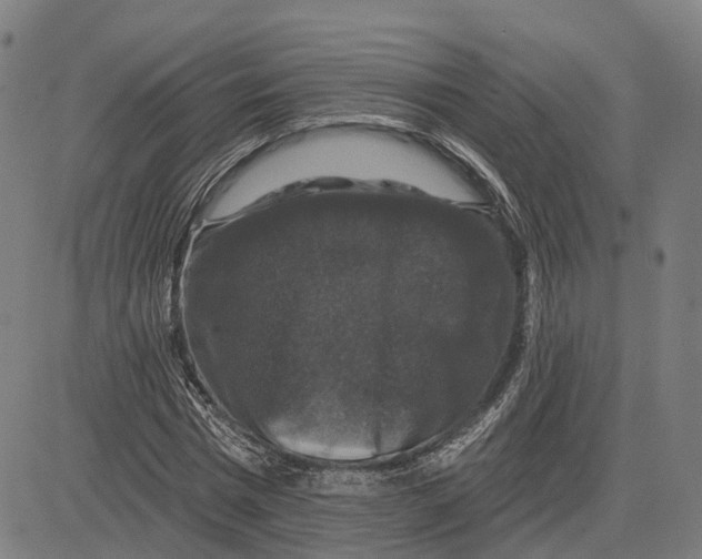 X0000081440777200702021716
