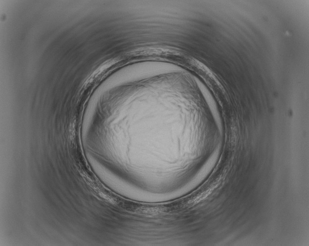 X0000081440778200702021716