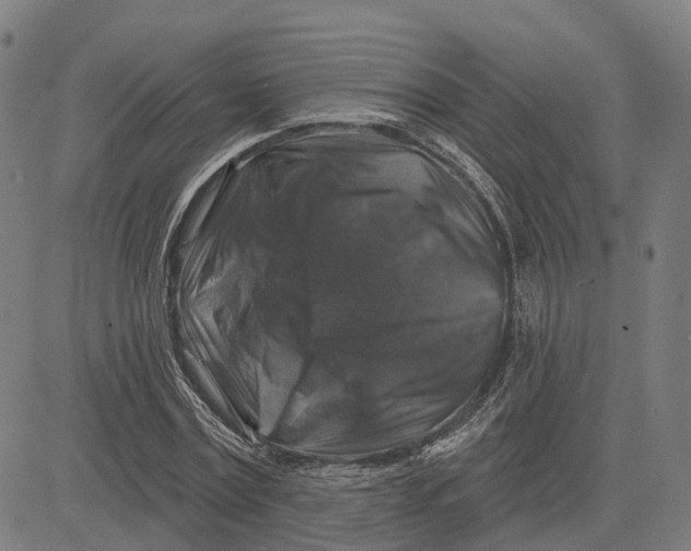 X0000081440779200702021716