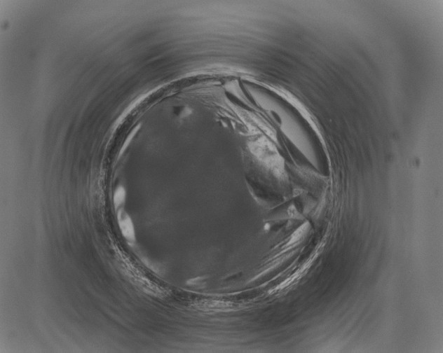 X0000081440783200702021716