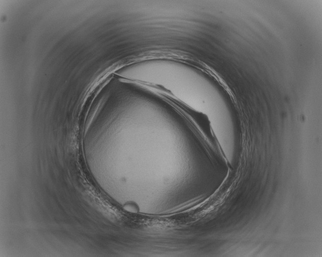 X0000081440786200702021716