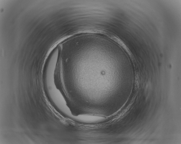 X0000081440787200702021716