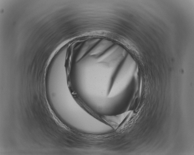 X0000081440792200702021716